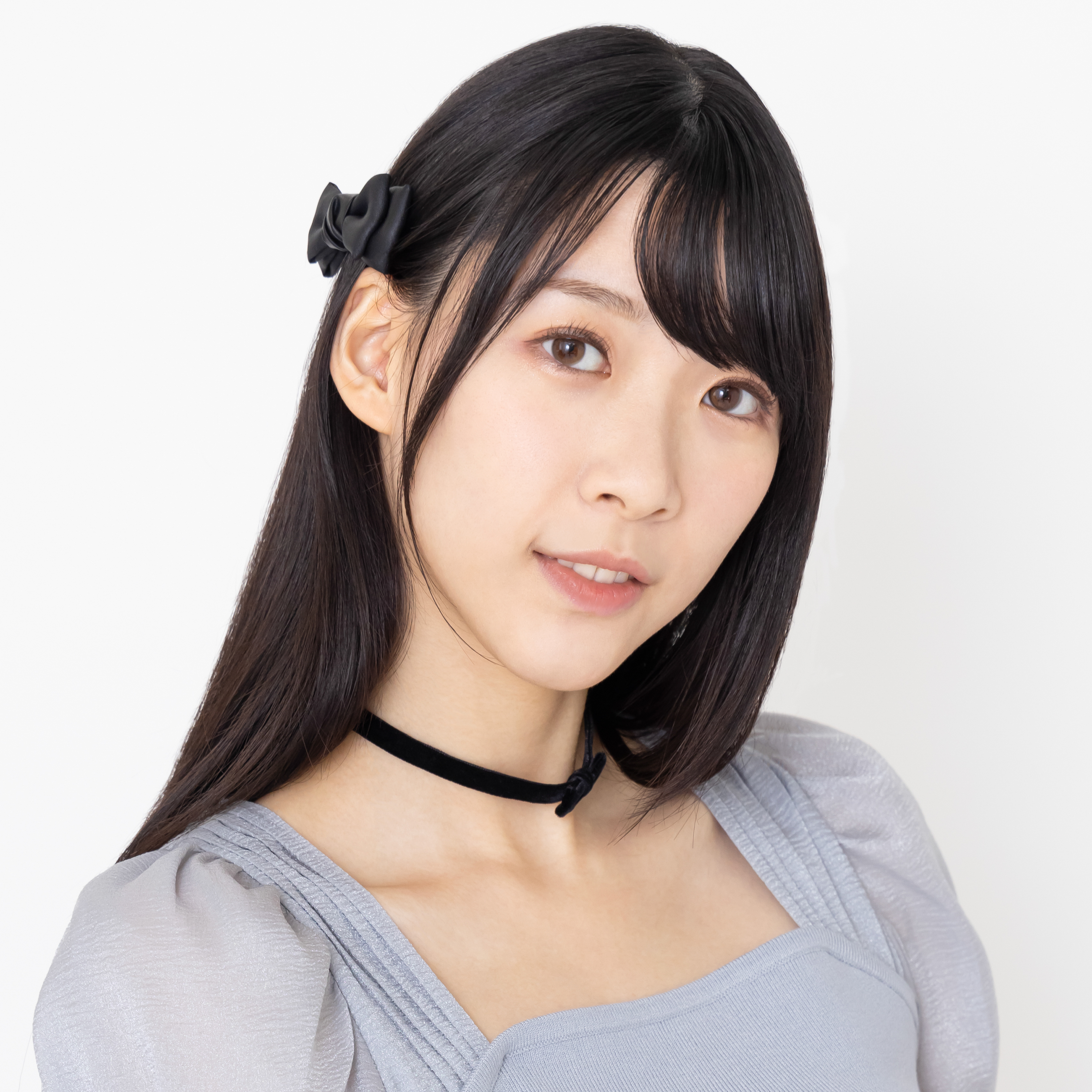 楽天市場】椿（ツバキ） 縞千鳥（シマチドリ）6号苗（g09-2